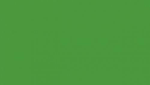 Spray Color  RAL 6018