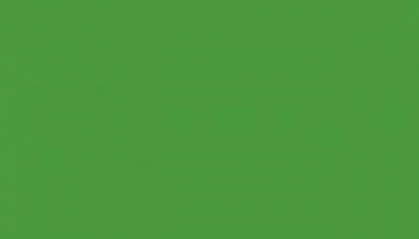 Spray Color  RAL 6018